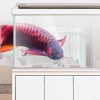 Sensun Aquarium Fish Tank Screen partition type ultra-white fish tank Double-sided ornamental fish black and white style details Picture